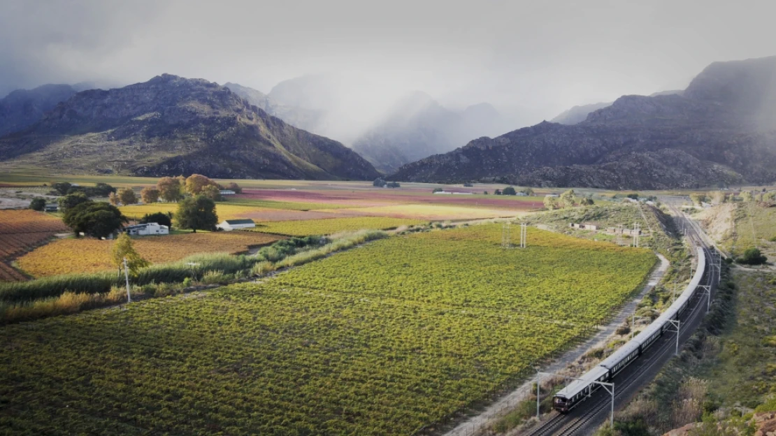 Nyakkendő kötelező!