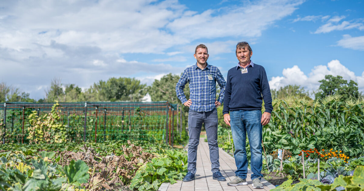 Hobbiként indult, egy parcellával kezdték, a magyar háztáji így hódítaná meg a külpiacokat is