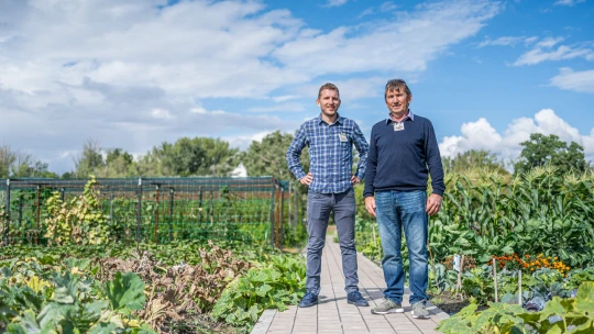 Hobbiként indult, egy parcellával kezdték, a magyar háztáji így hódítaná meg a külpiacokat is