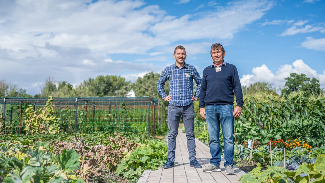 Hobbiként indult, egy parcellával kezdték, a magyar háztáji így hódítaná meg a külpiacokat is