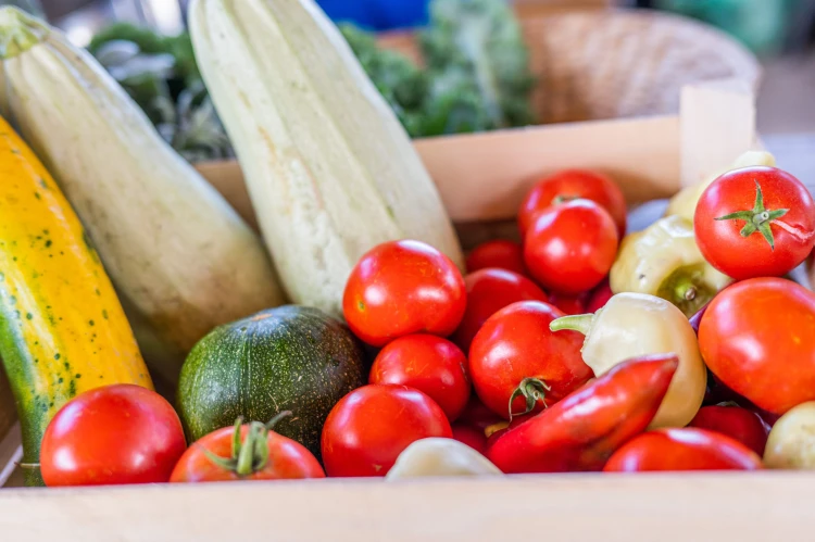 Hobbiként indult, egy parcellával kezdték, a magyar háztáji így hódítaná meg a külpiacokat is_9