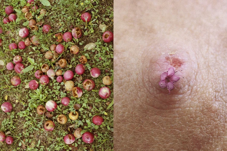 Őszinte képek az anyaságról – az Instagram törölte, a belőle készült fotósorozat világsiker lett_2