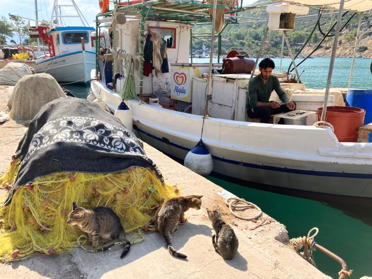 Ugyanolyan gyönyörű, mint Santorini, csak negyedannyiba kerül – Steiner Kristóf csodálatos világa Methana félszigetén_0