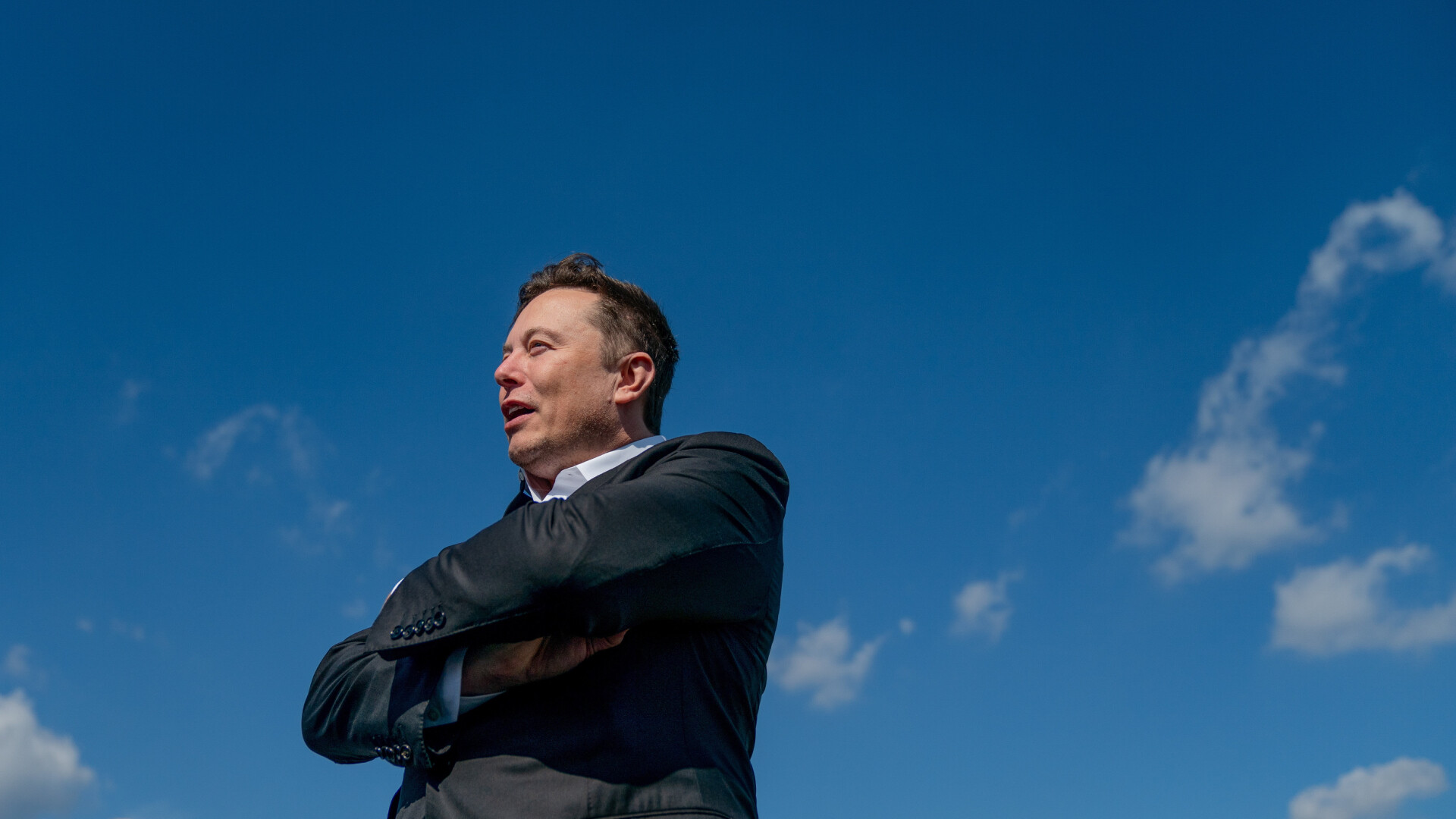 Nem kérnek a twitterezők Elon Muskból, leszavazták a cég éléről