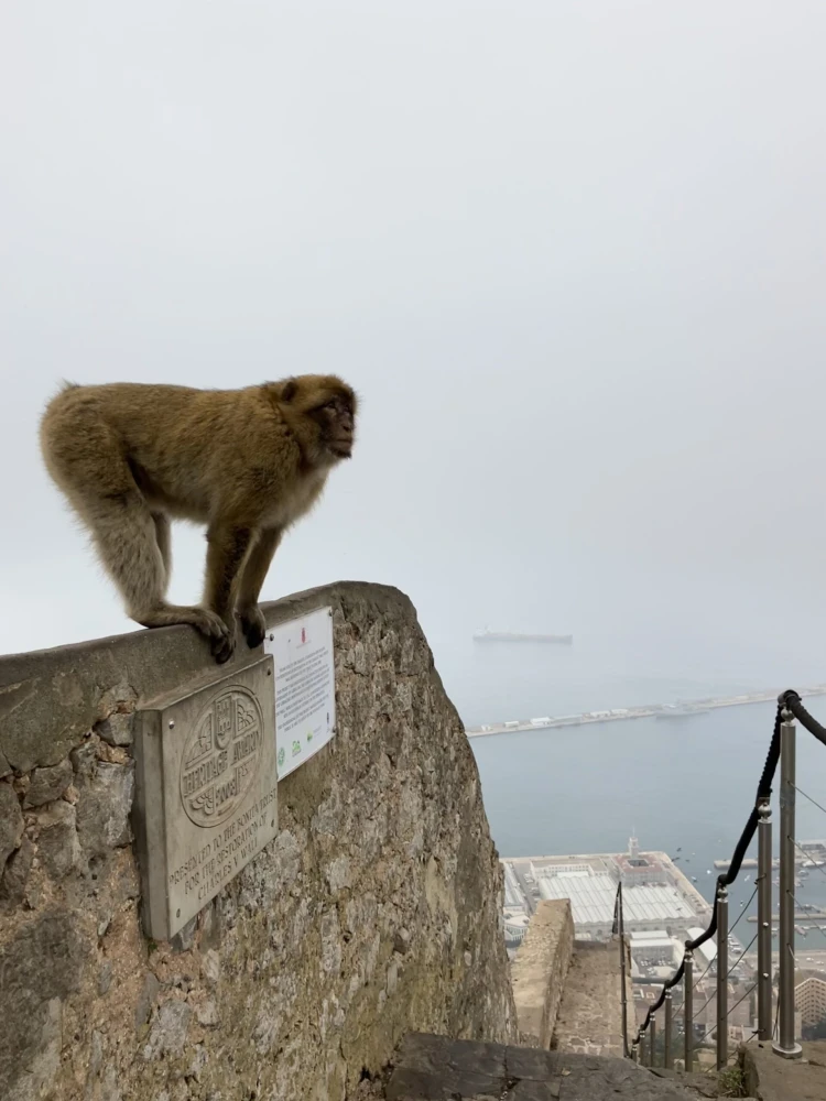 A tökéletes célpont hosszúhétvégés, költséghatékony útra: Gibraltár_1