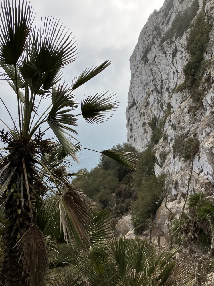 A tökéletes célpont hosszúhétvégés, költséghatékony útra: Gibraltár_7