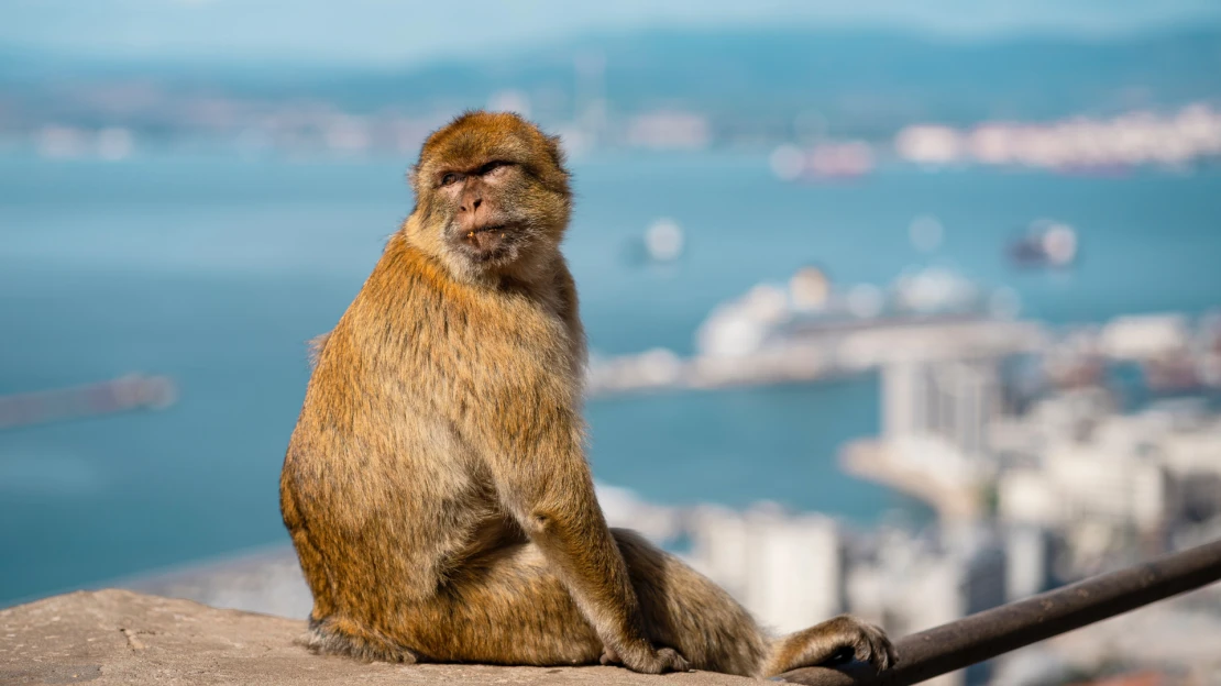 A tökéletes célpont hosszúhétvégés, költséghatékony útra: Gibraltár