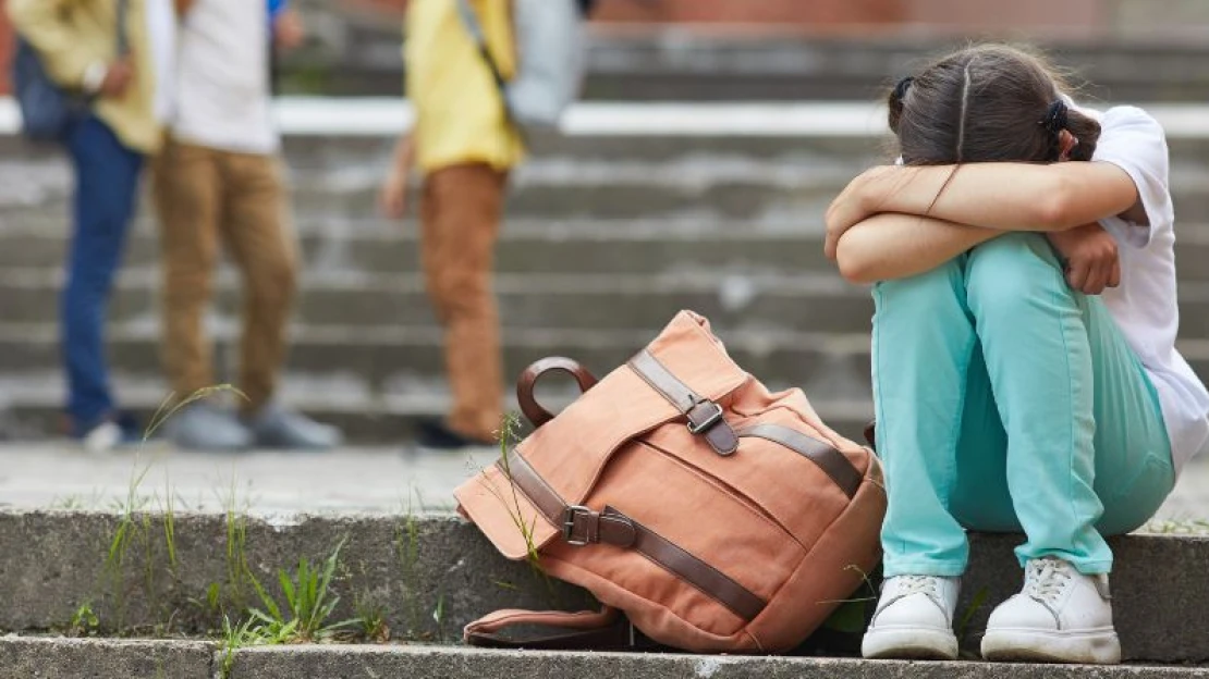 A gyerekek sosem tudnak jobban funkcionálni, mint a felnőttek, akik vezetik őket – szakemberekkel a bullying nyomában