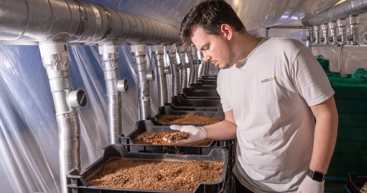 Egy évvel az ünnepélyes átadása után földbe is állhat a hatalmas magyar lárvagyár