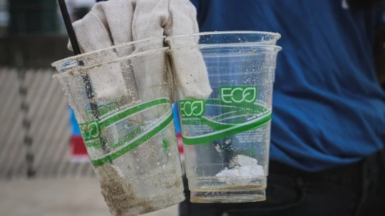 A vásárló megunta a csesztetést – a greenwashing tündöklése és bukása