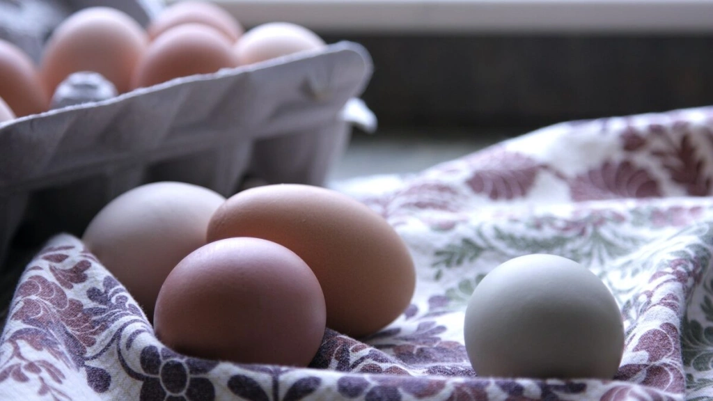 Lesz elég tojás húsvétra? Itt a tojástermelők válasza