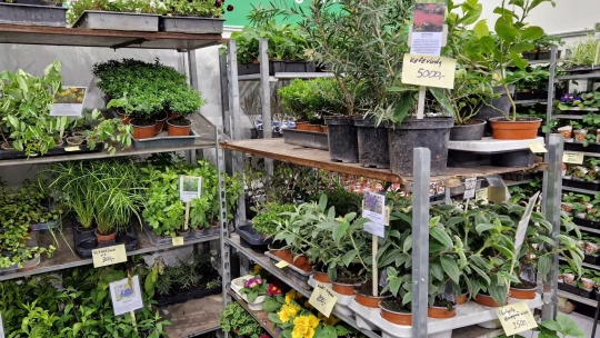 Bevezettek egy új adót, aminek szinte még örülnek is az érintettek