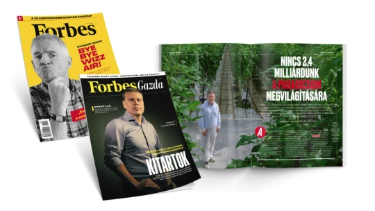 Zsoltot mindenki le akarta beszélni, hogy vállalkozó legyen, ma milliárdos cégei vannak