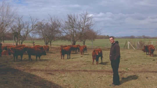 A falu bolondja volt, most mindenki tőle akar tanulni