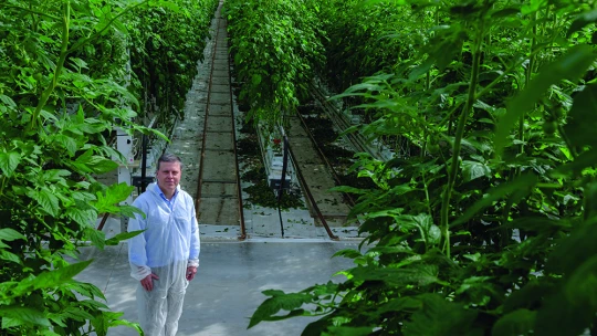 Nincs 2,4 milliárdunk a paradicsom megvilágítására