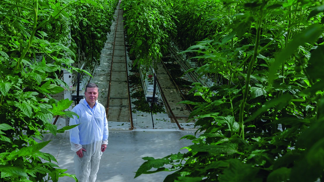 Nincs 2,4 milliárdunk a paradicsom megvilágítására