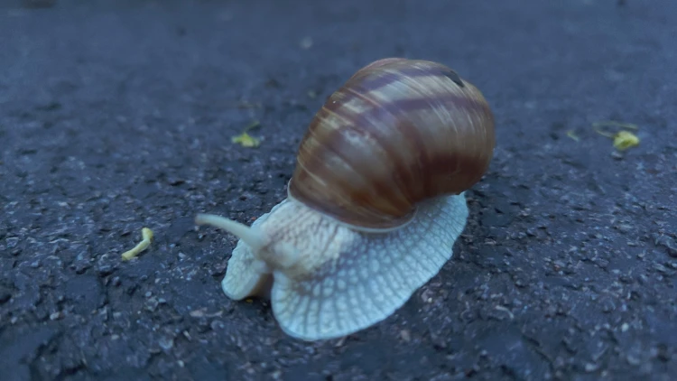Rém drága, igen fura, de ennél jobb telefon nincs játékra jelenleg_3