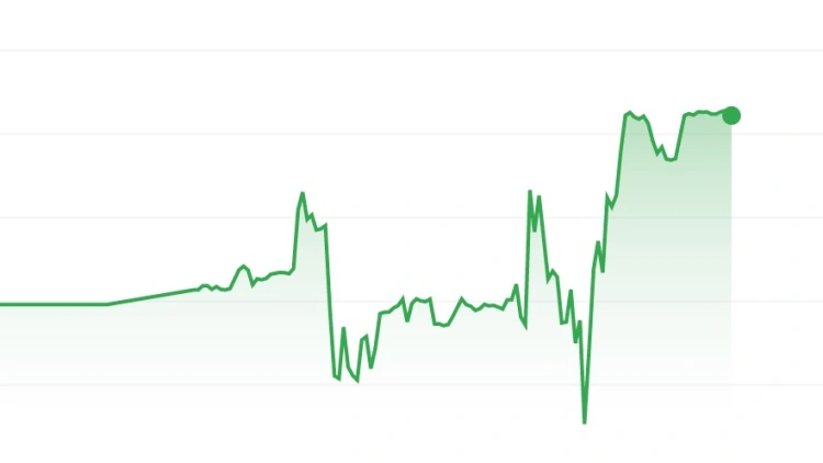 Hullámvasúton a forint