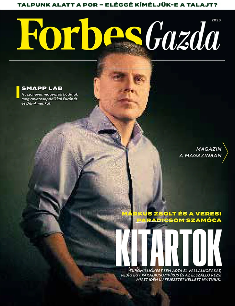 Árokpart