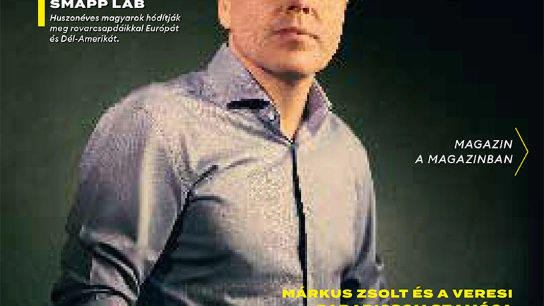 Árokpart