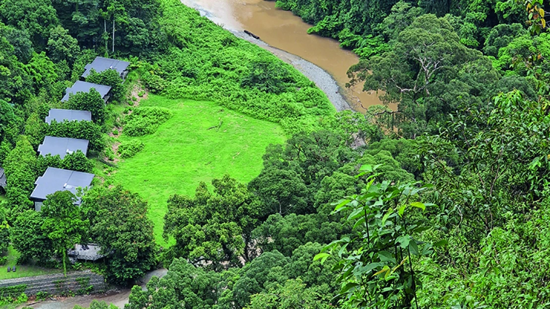 Az örökké termő fa tövében