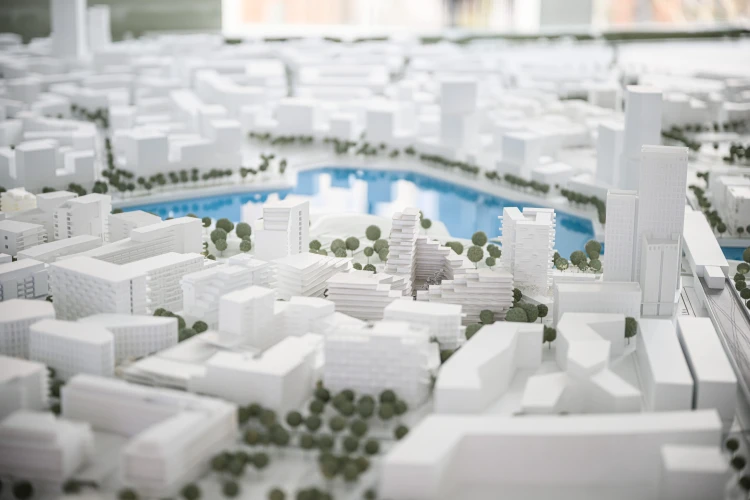 Falusi MR, gombatermesztő srácok és a világ legjobb keresőkutyája – 2023 fotói a Forbes.hu-n_4