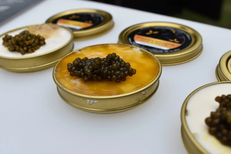 Pufidzseki, guccsipóló, hasalások és villantások. Mutatjuk, ki nyerte a Gourmet Fesztivált_12