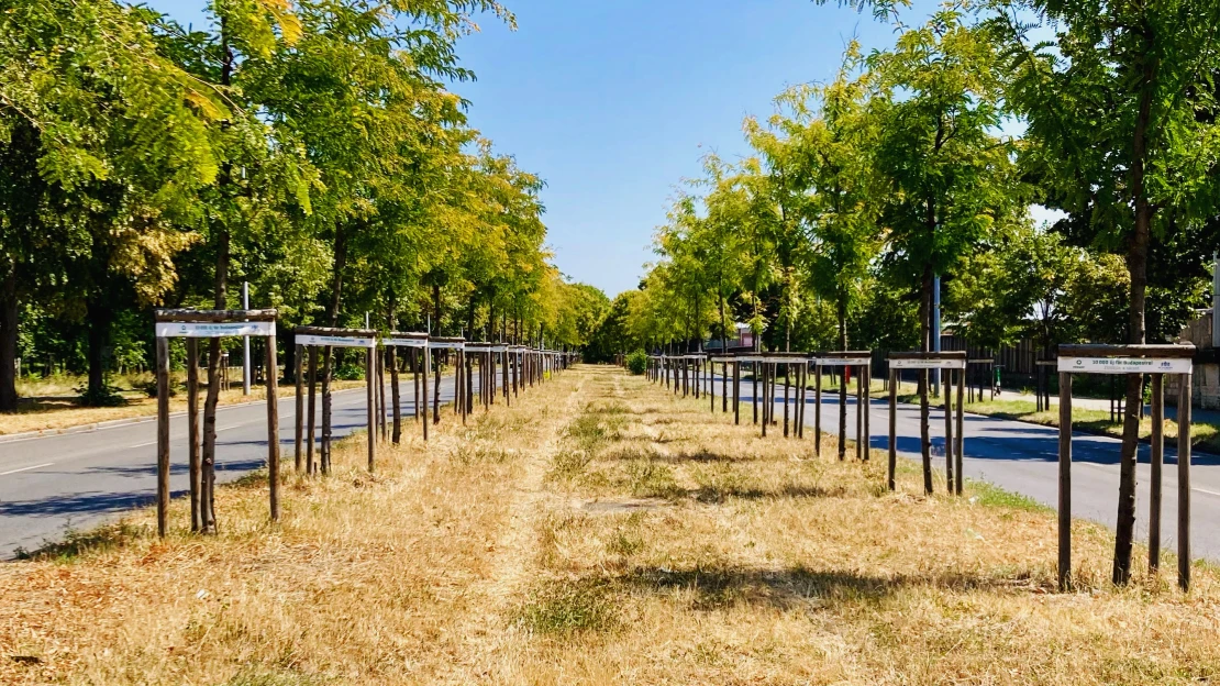 Új, ambiciózusabb klímatörvényt ígér a minisztérium, ekkorra lehet kész