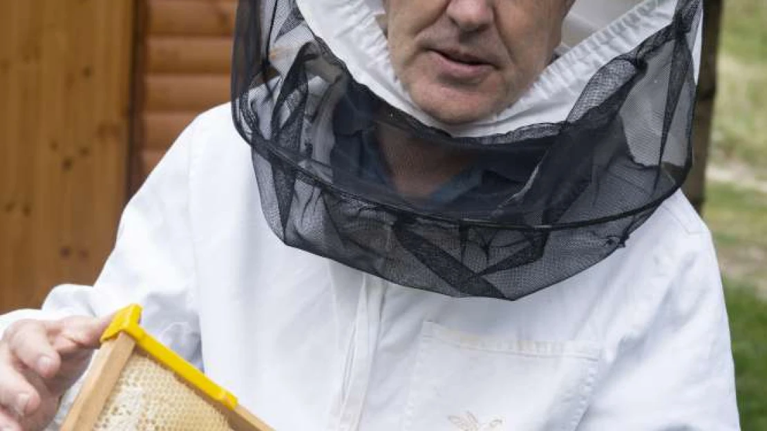 Méhek arcközelből