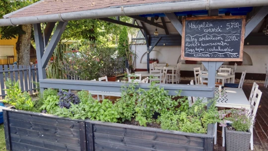 Szabolcsország köszönt