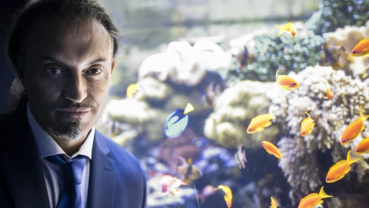 Mennyibe kerül egy cápa és mi van, ha megharap? A Tropicarium-sztori