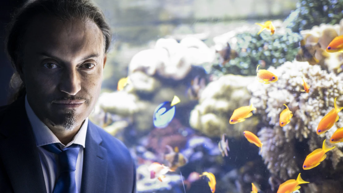 Mennyibe kerül egy cápa és mi van, ha megharap? A Tropicarium-sztori