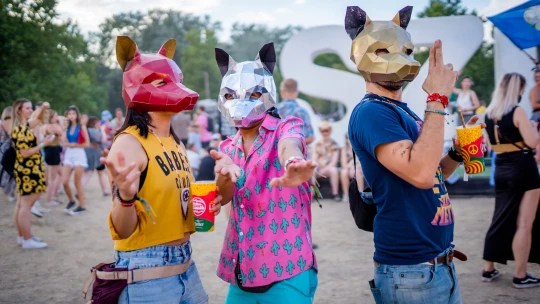 Kormányközeli „milliárdos” keze tört el a Szigeten rendőri intézkedés közben