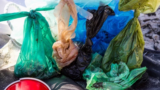 Környezettudatosság: a magyar fiatalok egy része visszalépett