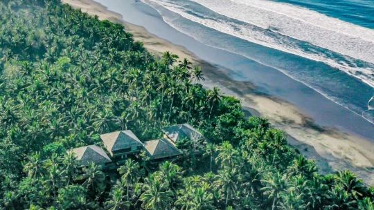 Felkelsz, kibattyogsz, begyalogolsz