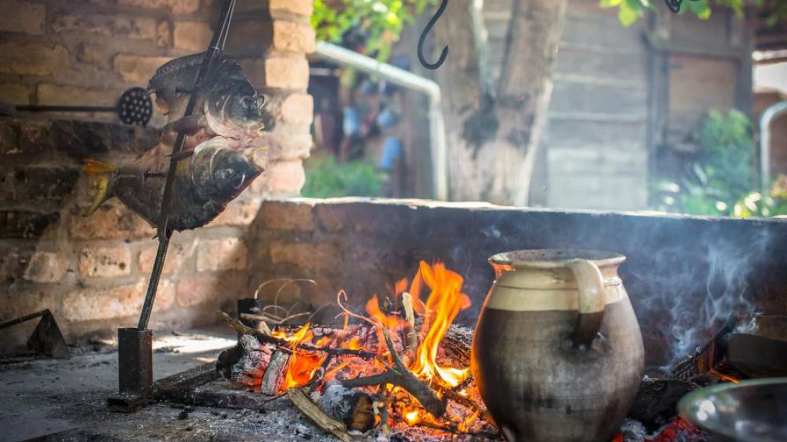 Baranja folyékony aranya