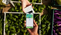 Pénzmosási ügy miatt vizsgálódnak a fintech óriásnál, kétszámjegyű eséssel reagált a piac