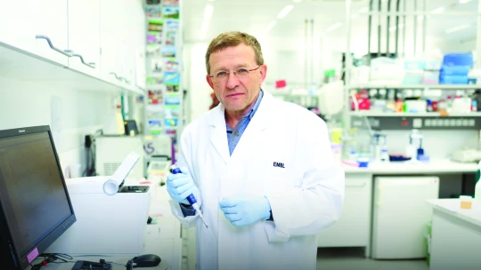 Egységben az erő: EMBL-HCEMM partnerség a magyar transzlációs medicina kifejlesztéséért