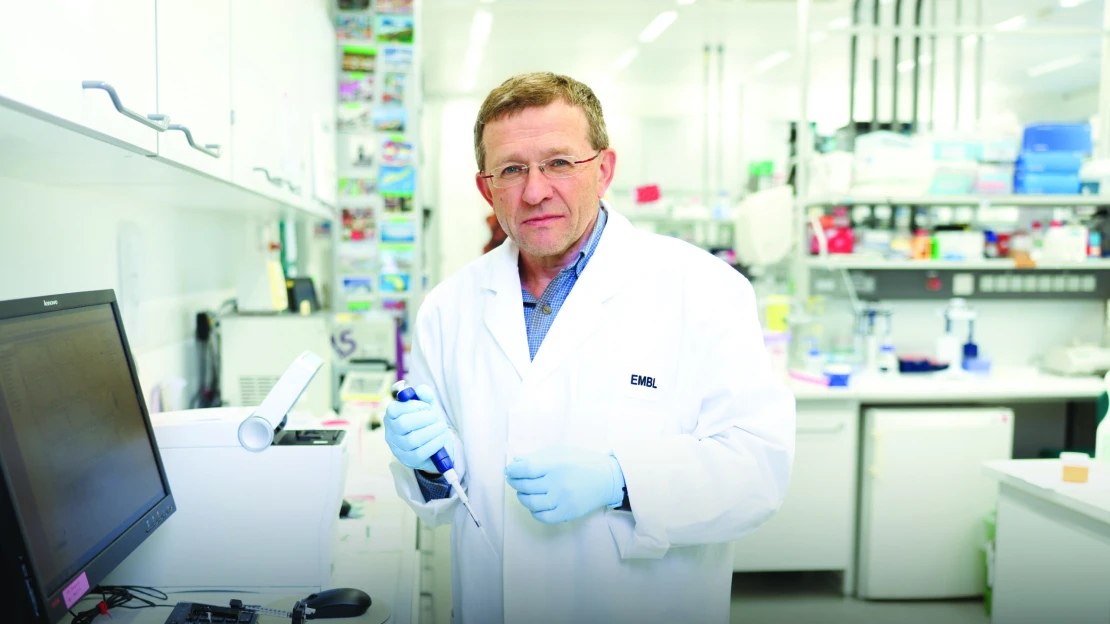 Egységben az erő: EMBL-HCEMM partnerség a magyar transzlációs medicina kifejlesztéséért