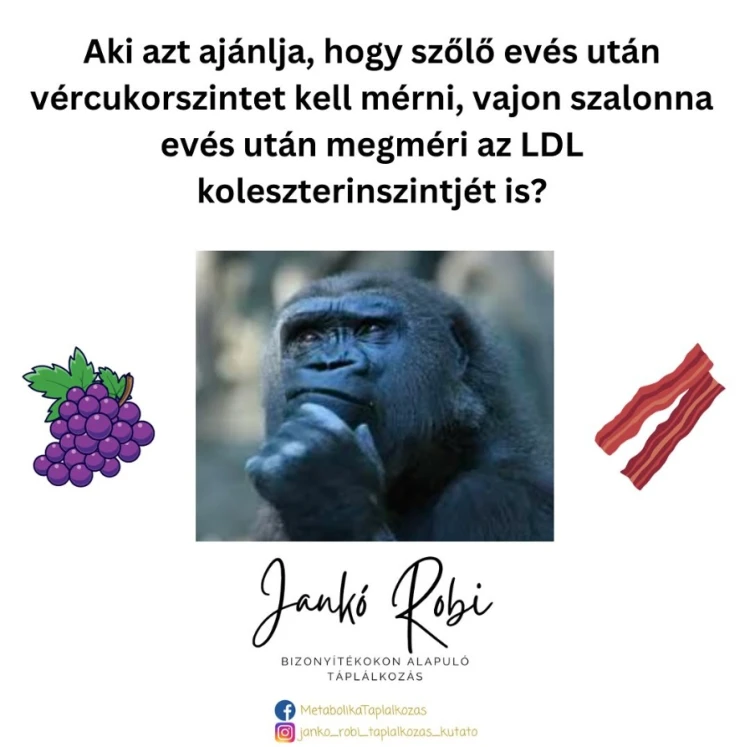 Lépésről lépésre sokkal könnyebb, még életmódot váltani is – interjú Jankó Robi táplálkozáskutatóval_6