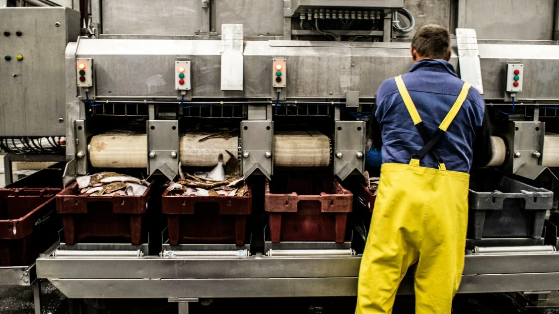 Jelentősen visszaesett az ipari termelésünk