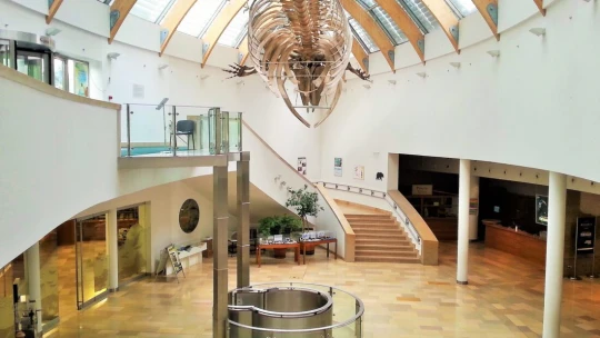 Fordulat a Természettudományi Múzeum több éves költözési cirkuszában