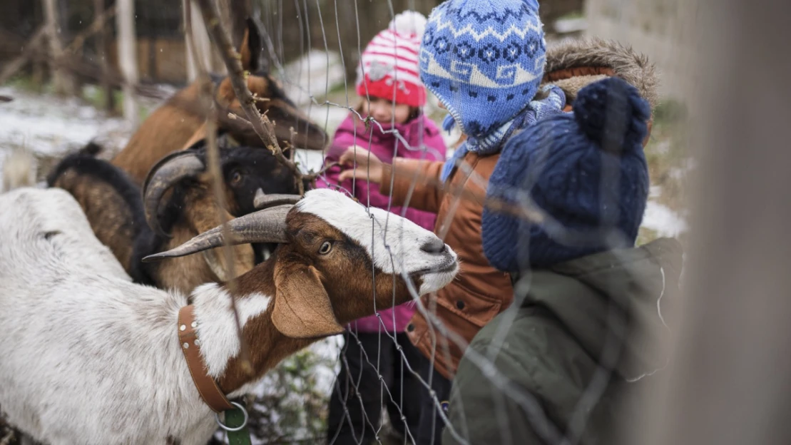 A kert, ahol értelmet nyer az írás, az olvasás, a számolás