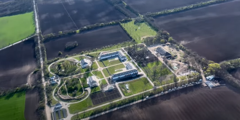 Kiderült, miért pusztultak el a hatvanpusztai zebrák