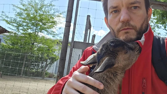 Ideiglenesen bezár az Állatkertben az állatsimogató