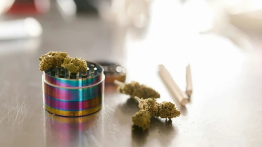 Kiderült: a fű kevésbé veszélyes, mint a heroin – utolérte magát az USA