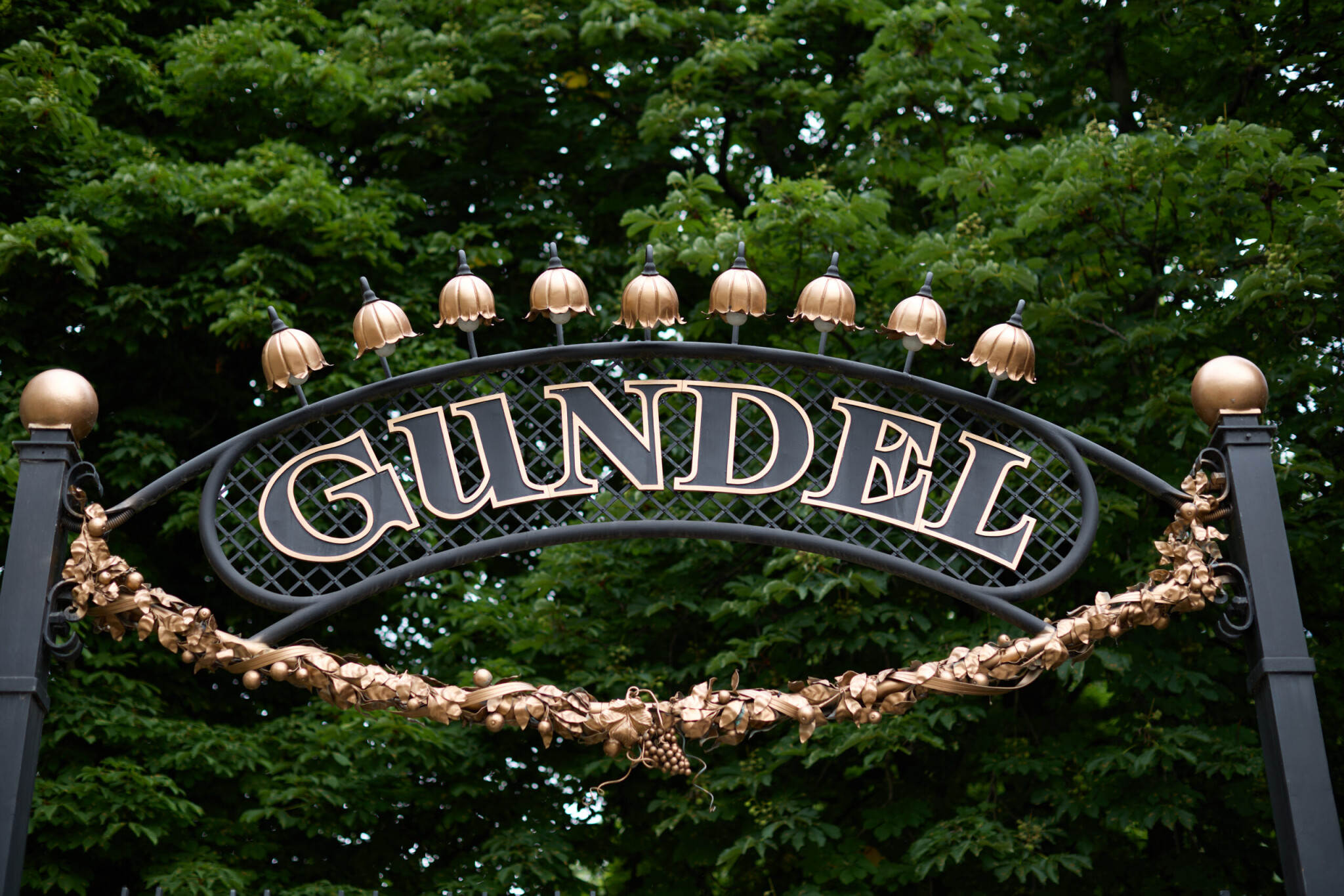 13 kép és történet a 130 éves Gundelből