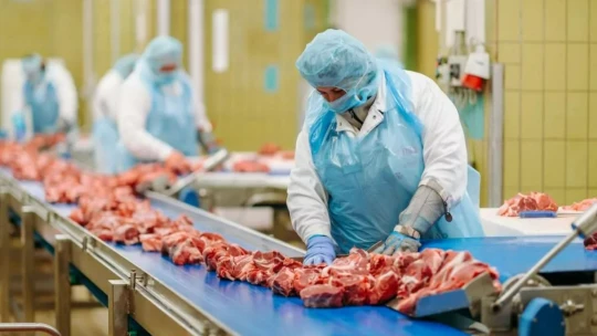 Így zárná le a kormány az országot a vendégmunkások előtt