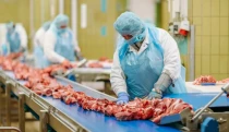 Több pénz folyt be, mégis kevesebb maradt a kasszában: érdekes évet zárt a Csányi család húsipari cége