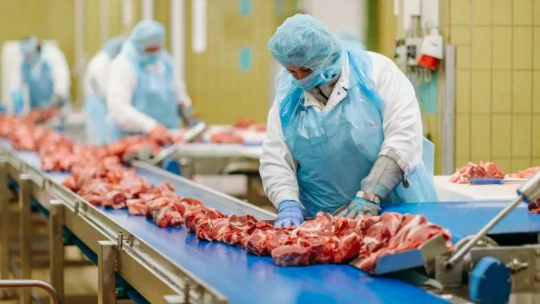 Így zárná le a kormány az országot a vendégmunkások előtt
